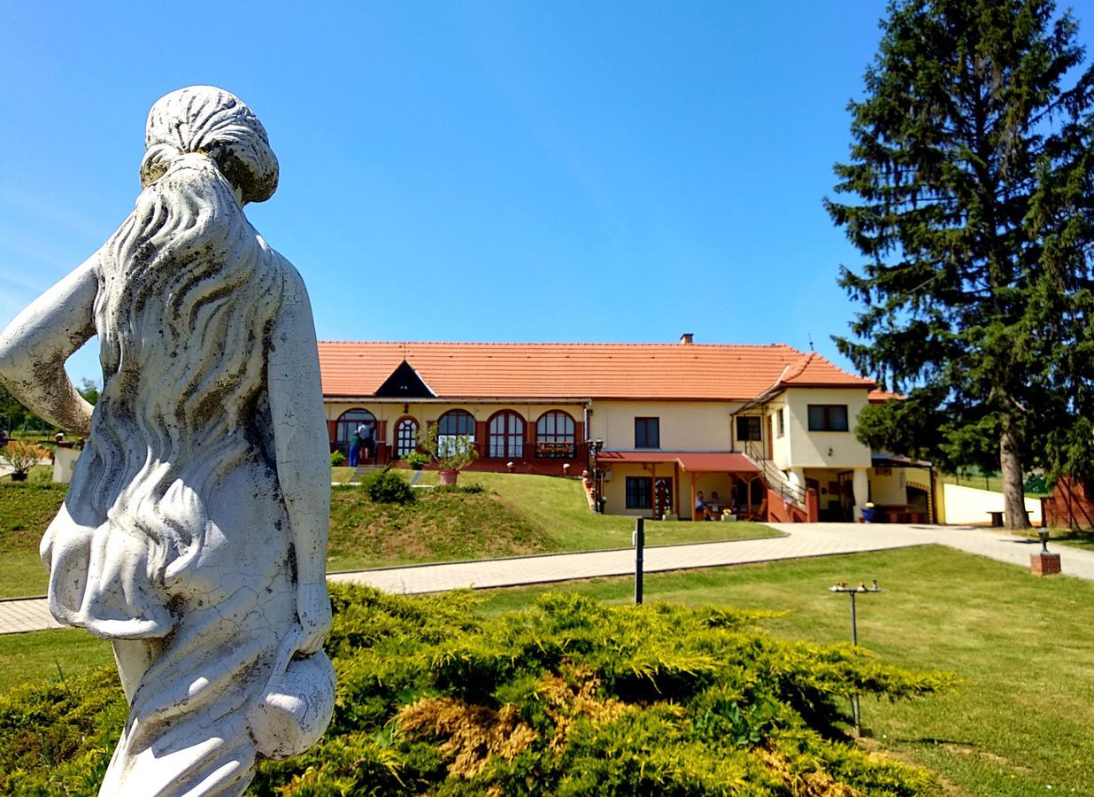 Villa Teleki 외부 사진